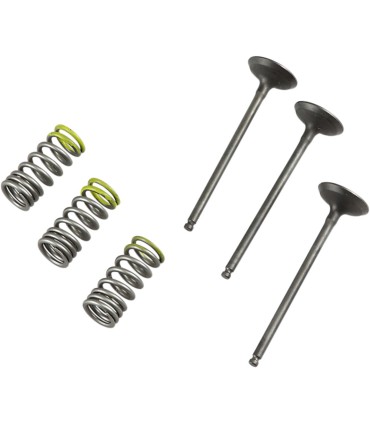 VALVE IN/SPRING KIT YZ/WR250F