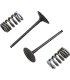 VALVE IN/SPRING KIT RM-Z250