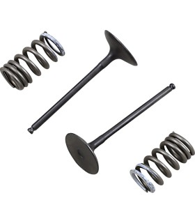 VALVE IN/SPRING KIT RM-Z250
