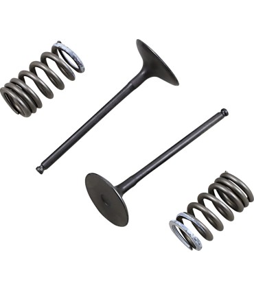 VALVE IN/SPRING KIT RM-Z250