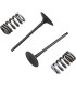 VALVE IN/SPRING KIT RM-Z250