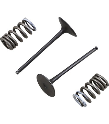 VALVE IN/SPRING KIT RM-Z250