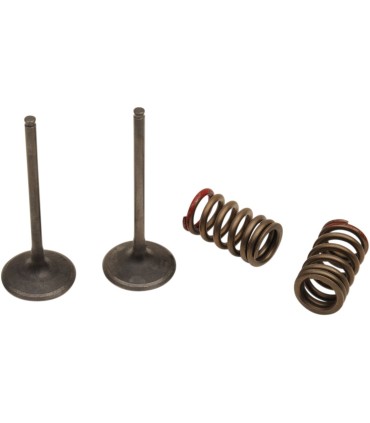 VALVE IN/SPRING KX250F+RMZ250
