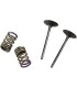 VALVE IN/SPRING KIT KX250F