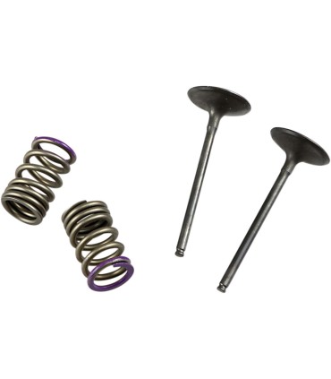 VALVE IN/SPRING KIT KX250F