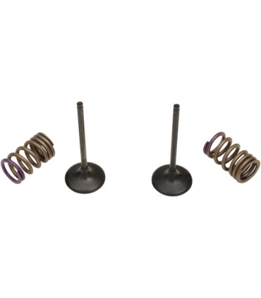 VALVE IN/SPRING KIT KX250F