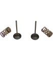 VALVE IN/SPRING KIT KX250F