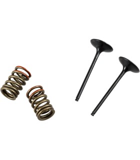 VALVE IN/SPRING KIT KX250F