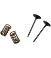 VALVE IN/SPRING KIT KX250F