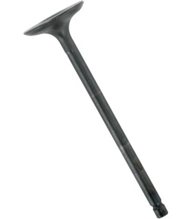 VALVE STEEL INT YAM