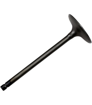 VALVE STEEL INT XT660/700