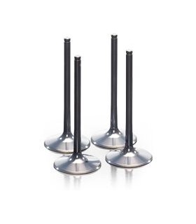 VALVE IN TITAN 250SX-F 13