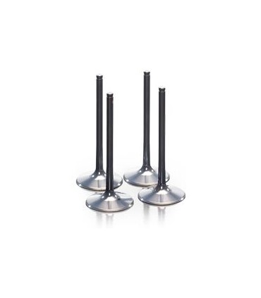 VALVE EX TITAN 450SX-F 13