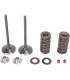 VALVE KIT IN MSE CRF250