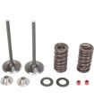 VALVE KIT IN MSE CRF250