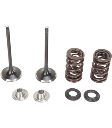 VALVE KIT IN MSE KX250F