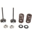 VALVE KIT IN MSE KX250F