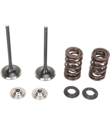 VALVE KIT IN MSE RMZ250