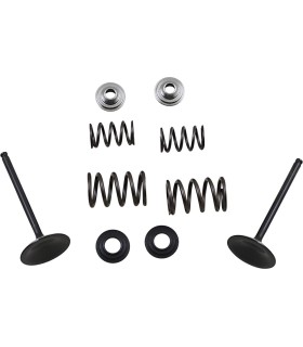 VALVE KIT IN MSE LTR450