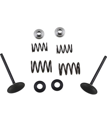 VALVE KIT IN MSE LTR450