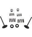 VALVE KIT IN MSE LTR450