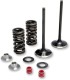 VALVE KIT EX MSE RMZ250