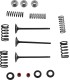 VALVE KIT IN MSE YZ250F
