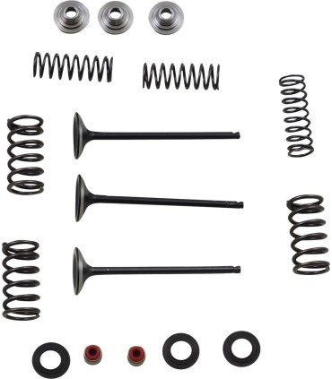 VALVE KIT IN MSE YZ250F
