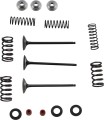VALVE KIT IN MSE YZ250F