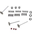 VALVE KIT IN MSE YZ450F