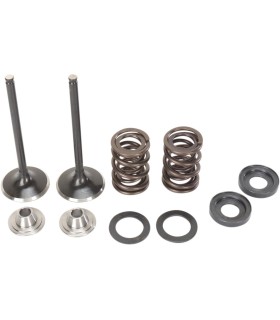 VALVE KIT IN MSE 450EXC