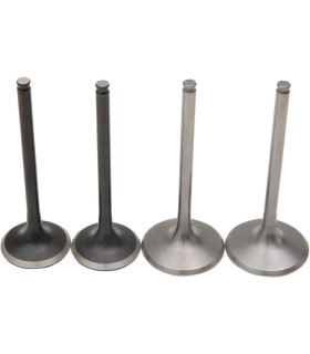 VALVE KIT MSE PRO TRX450X