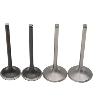 VALVE KIT MSE PRO TRX450X