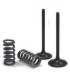VALVE EX/SPRING KIT EXC-F