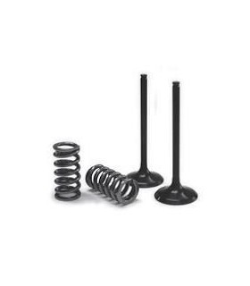 VALVE EX/SPRING KIT EXC-F