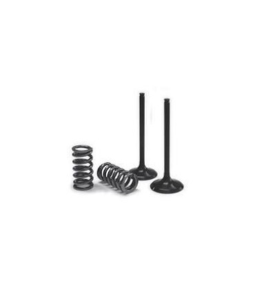 VALVE EX/SPRING KIT EXC-F