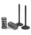 VALVE EX/SPRING KIT EXC-F
