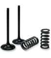 EXHAUST VALVE/SPRING KIT