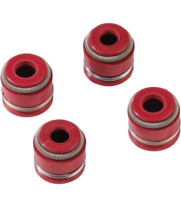 VALVE SEAL KIT TRX450R