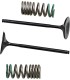 INTAKE VALVE/SPRING KIT