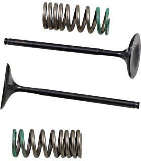 INTAKE VALVE/SPRING KIT