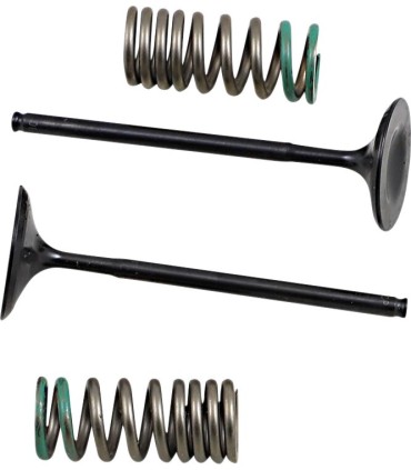 INTAKE VALVE/SPRING KIT