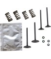 VALVE KT GB YZ250F 14-18