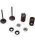 VALVE KIT IN MSE YZ 250F