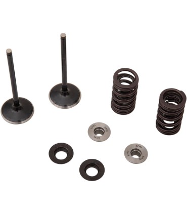 VALVE KIT IN MSE YZ 250F