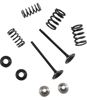 VALVE KIT EX MSE YZ 250F