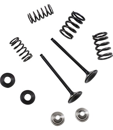 VALVE KIT EX MSE YZ 250F