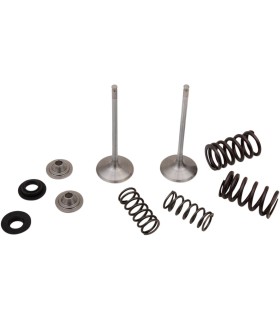 VALVE IN MSE KAW 250