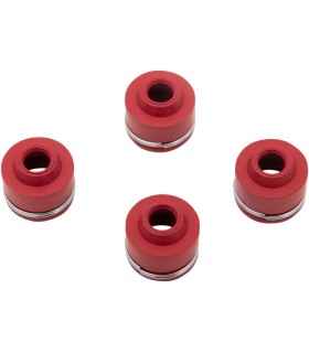 VALVE SEAL KIT KAW 250