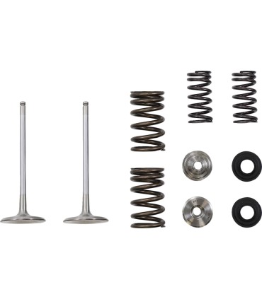 VALVE IN MSE KAW 250